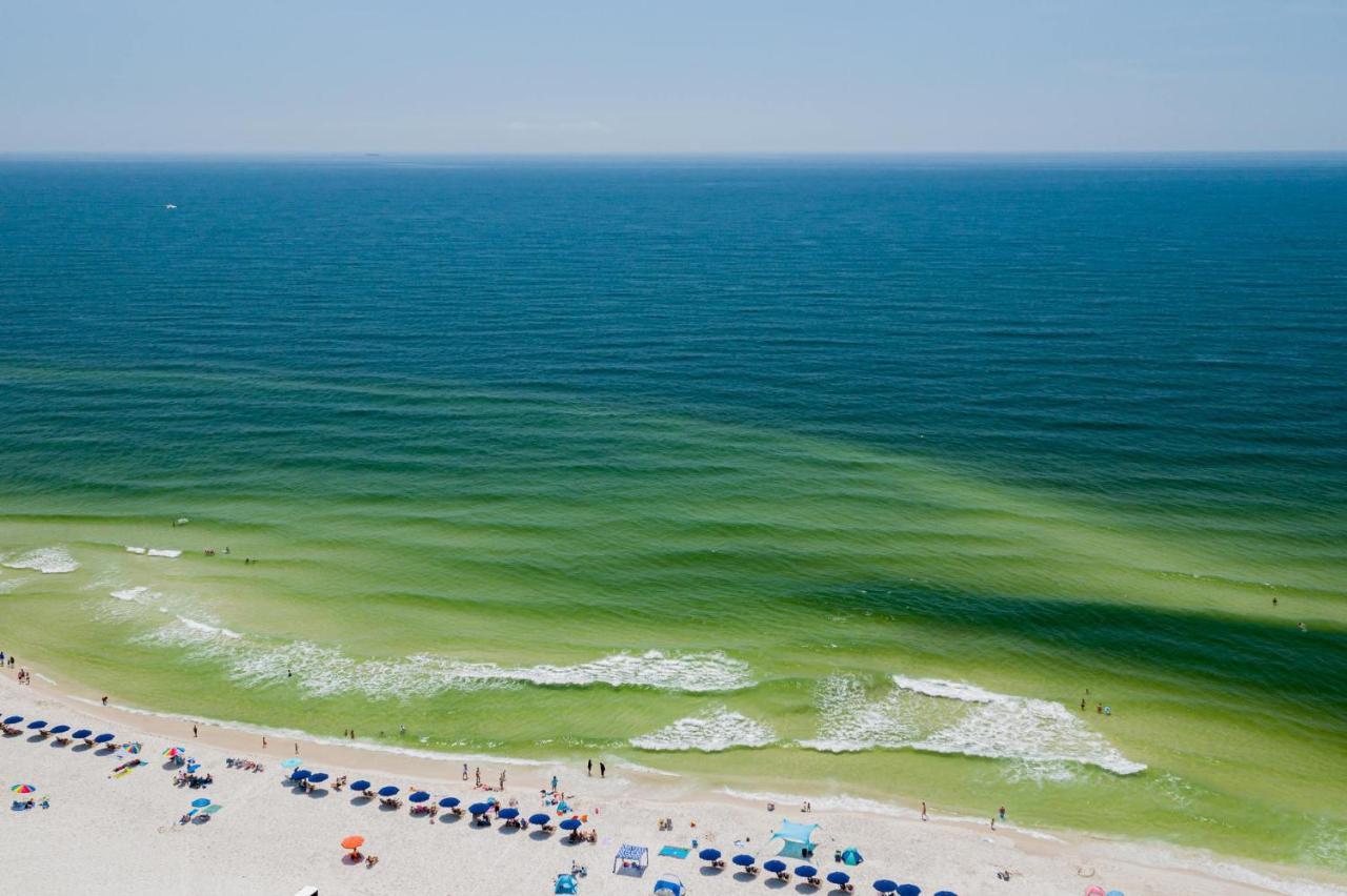 Sunset Corner Leilighet Gulf Shores Eksteriør bilde
